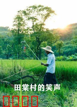 田棠村的笑声：乡村振兴喜剧