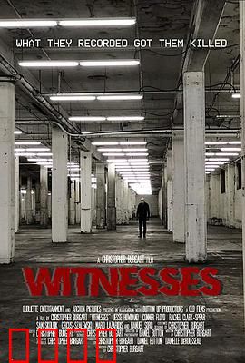 目击者2019：深夜惊魂一瞥