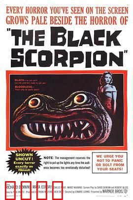 黑蝎：沙漠惊魂