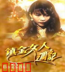 镇金女人周记粤语：职场女王争霸记