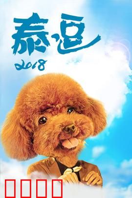 泰逗2018：爆笑泰囧之旅