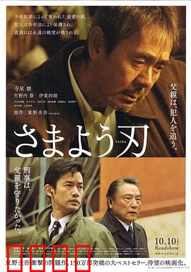 彷徨之刃：正义的迷失