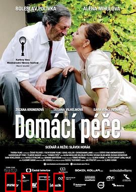 家庭护理：爱的代价