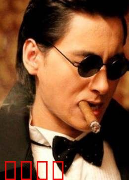 百合绽放：花间情愫