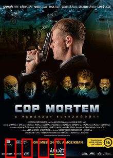 怒火警探：暗夜复仇