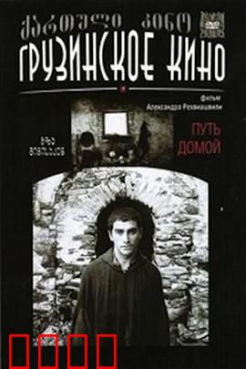 返乡之路：逆境归途