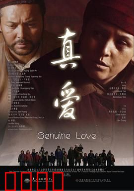 真爱2014：异国寻爱记