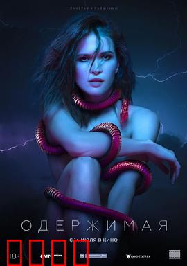 痴迷：爱的代价