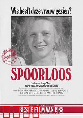 神秘失踪：真相背后的谎言