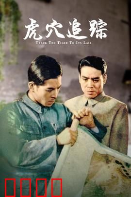 虎穴追踪：智斗敌特