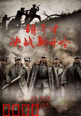 胡奇才决战新开岭：智勇双全歼顽敌