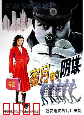 蜜月的阴谋：新婚杀机