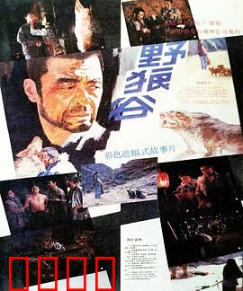 野狼谷：狼王复仇