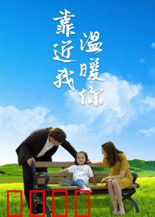 靠近我温暖你：都市里的治愈之光