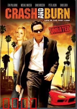 双面神探：致命伪装