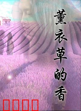 薰衣草的香：花香中的重逢