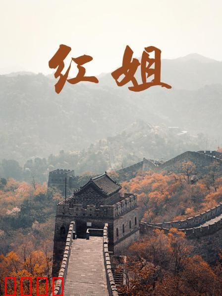 红姐2017：黑道母亲的救赎