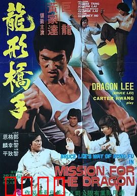 鹰拳：复仇怒火