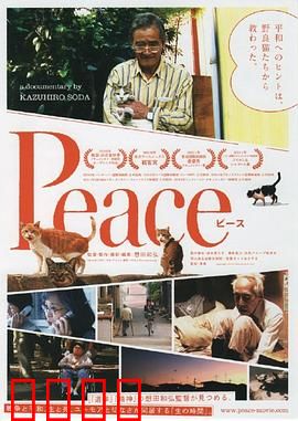 完全和平手册：战争与记忆的对话