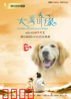 犬爱奇缘：忠犬救主