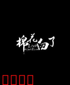 棉花白了：棉农的悲喜