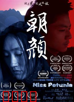 朝颜：花开有时