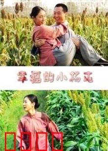 幸福的小杨屯：乡村幸福密码