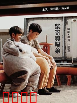 柴哥与喵弟：跨越种族的友情