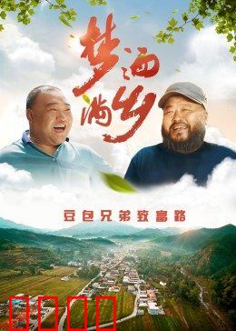 梦洒满乡：归乡逐梦