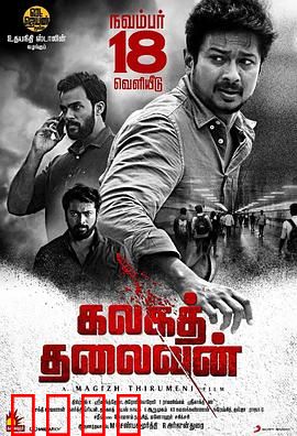 泄密者死：真相的代价