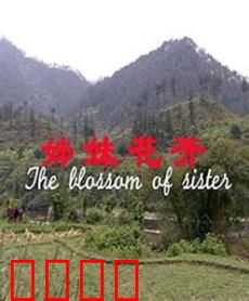 姊妹花开：姐妹情深守护家族