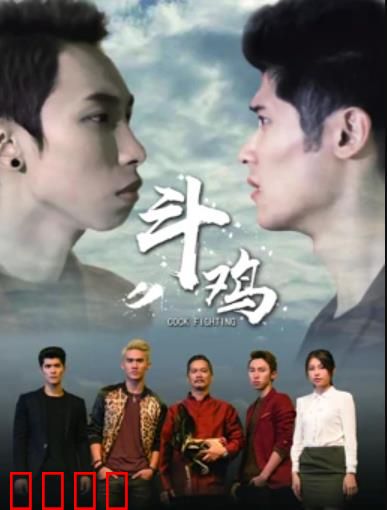 斗鸡：命悬一线的赌博