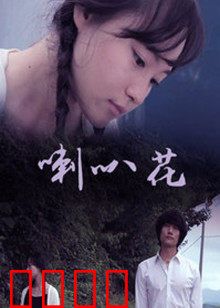 牵牛花：绽放的约定