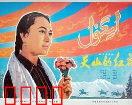天山的红花：草原女队长