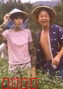 小美我爱你：错位时空的告白