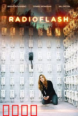 电磁脉冲：科技灾难下的生存之战