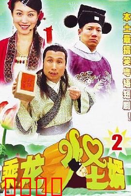 乘龙怪婿第二季：女婿大作战