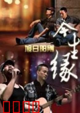 今生缘：错过的爱再牵手