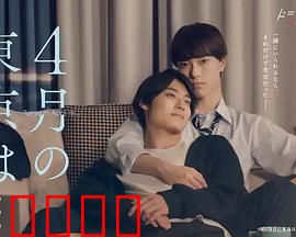 4月的东京…：樱花下的秘密