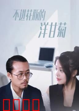 不进花瓶的洋甘菊：不妥协的自由