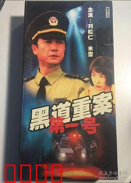警匪较量珠三角：正邪殊死搏斗