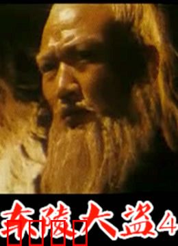 东陵大盗：孙殿英掘墓传奇
