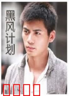 不良英雄：叛逆救赎