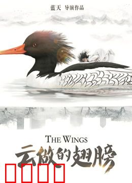 云做的翅膀：追梦少年逆风飞翔