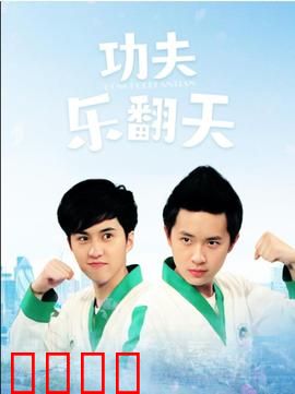 功夫乐翻天：爆笑武学奇遇