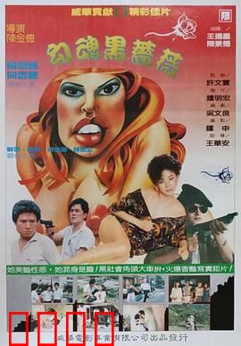 勾魂黑蔷薇：复仇的暗夜之花