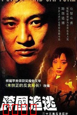 跨国追逃：天涯缉凶