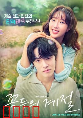 顶斗的季节：四季之恋