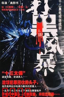 打黑风暴：正义永不缺席