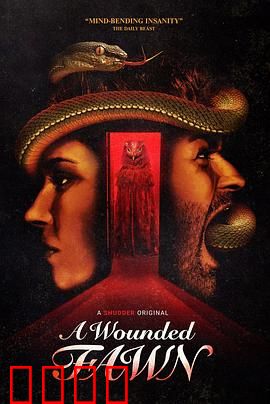 受伤的小鹿：丛林重生记